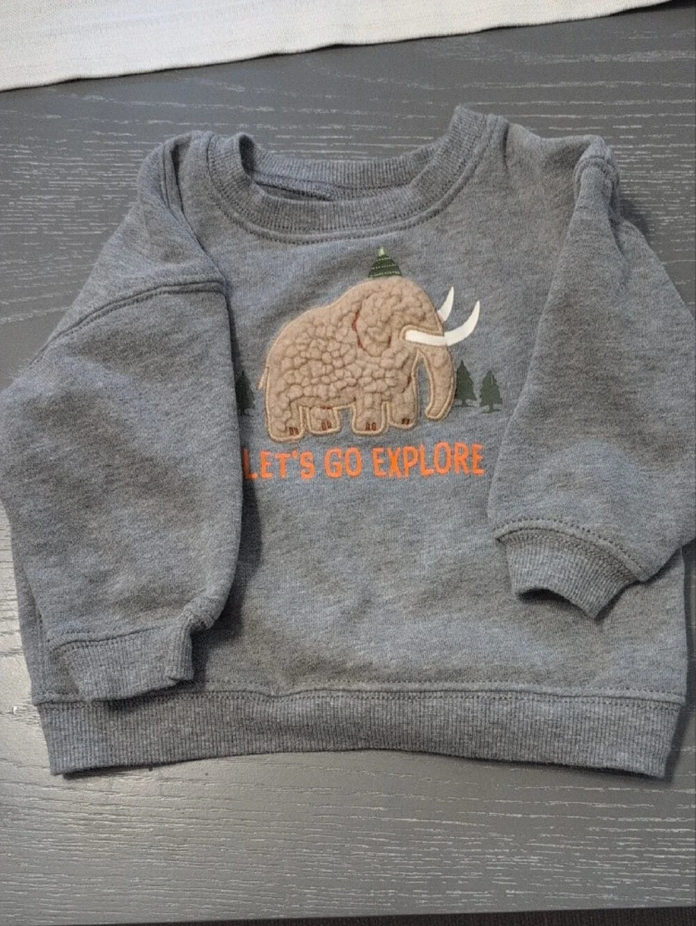 Grey Kids 'Let's Go Explore' Mammoth Sweatshirt